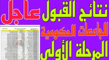 الآن.. رابط الاستعلام عن نتائج القبول المركزي 2025 عبر موقع وزارة التعليم العالي العراقي